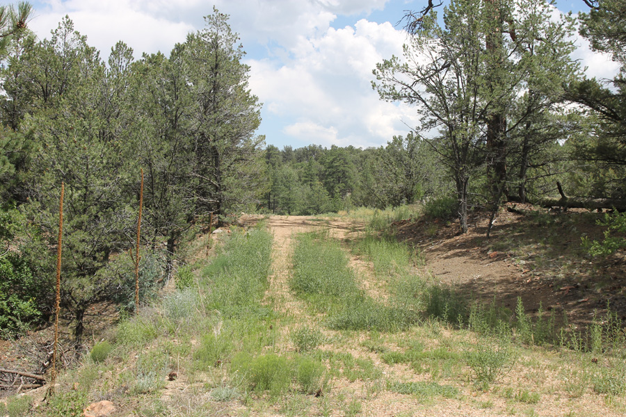 365 MacDonnell Loop, Texas Creek CO  81223